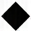 Black diamond icon representing advanced slope